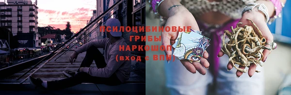 винт Инсар