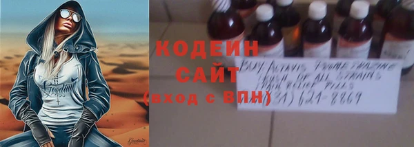 не бодяженный Иннополис