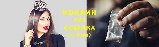 мдпв Инта