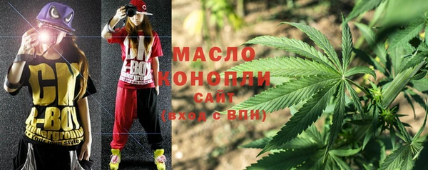 мдпв Инта