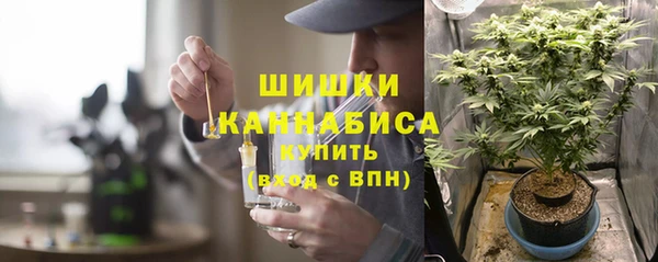 винт Инсар