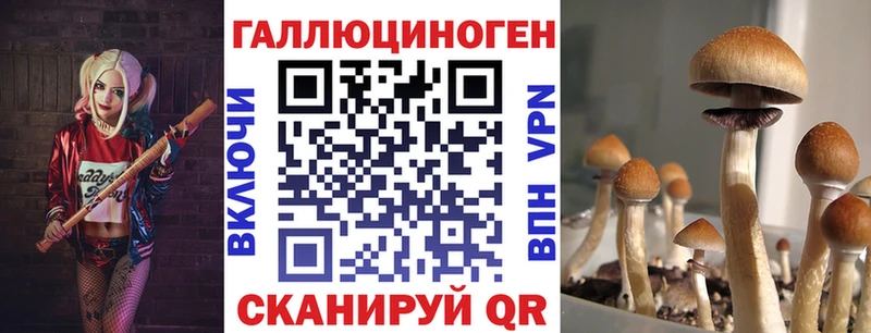 Купить где  Камбарка  Галлюциногенные грибы ЛСД 