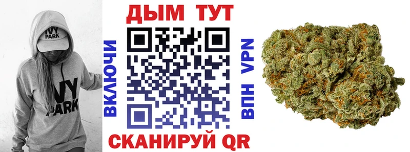 Купить где Камбарка Конопля VHQ
